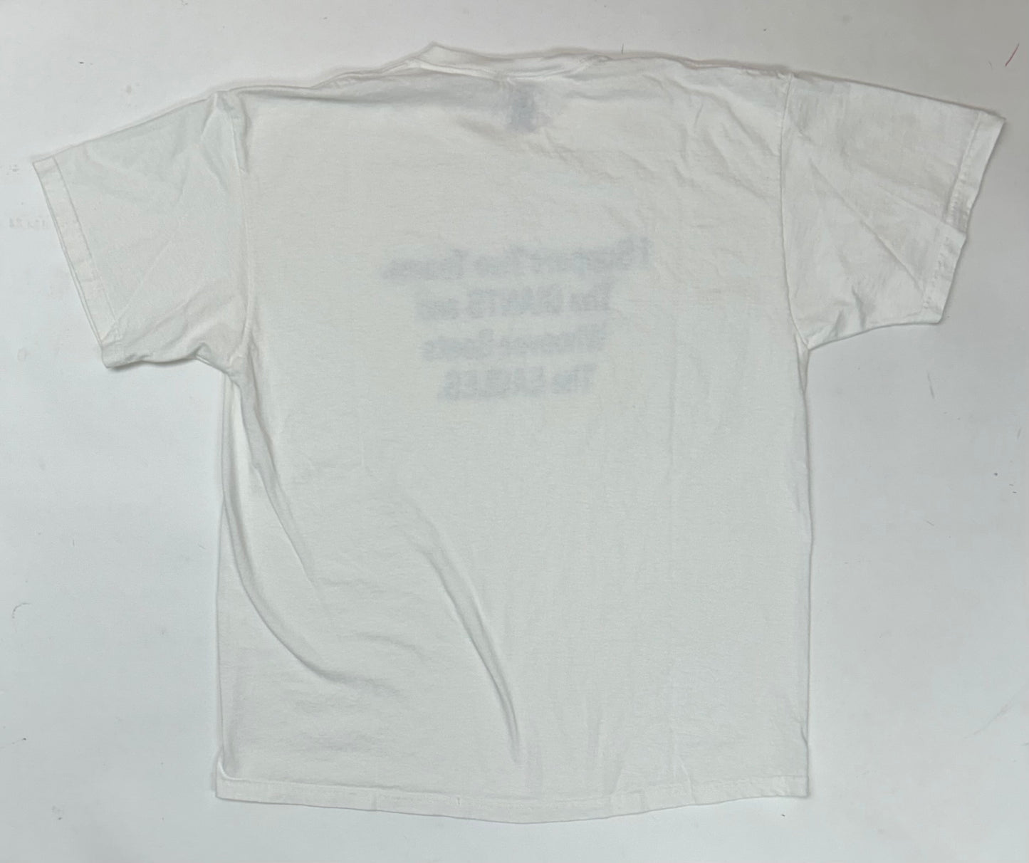 Vintage 00s I Support Two Teams. The Giants And Whoever Beats The Eagles Funny Parody Tee XL/L 22.5x28.5 Inches