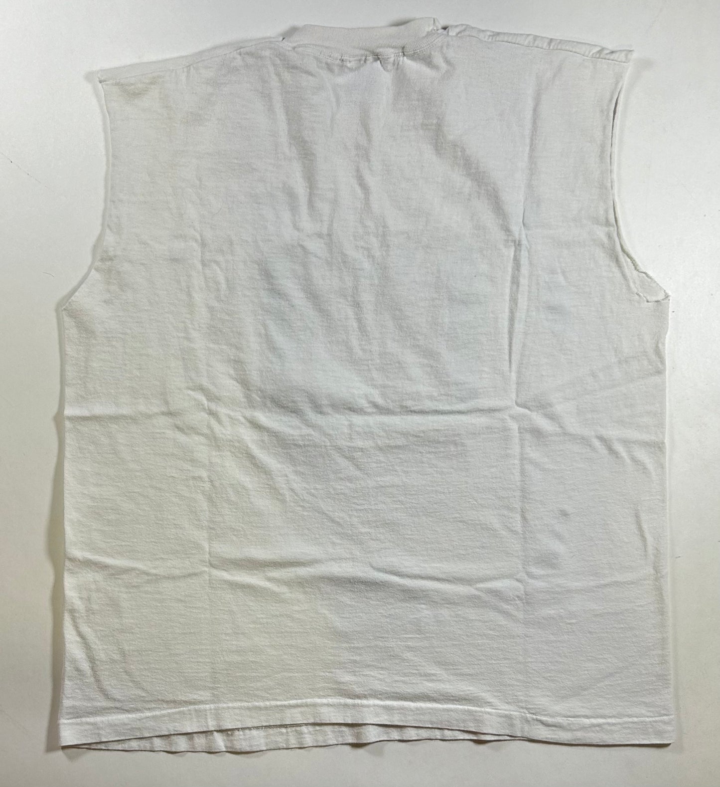 Vintage Salem Sportswear NBA Stay In School Celebration Phoenix Arizona 1995 Sleeveless XL 24.5x29.5 Inches Chopped Sleeveless Tee