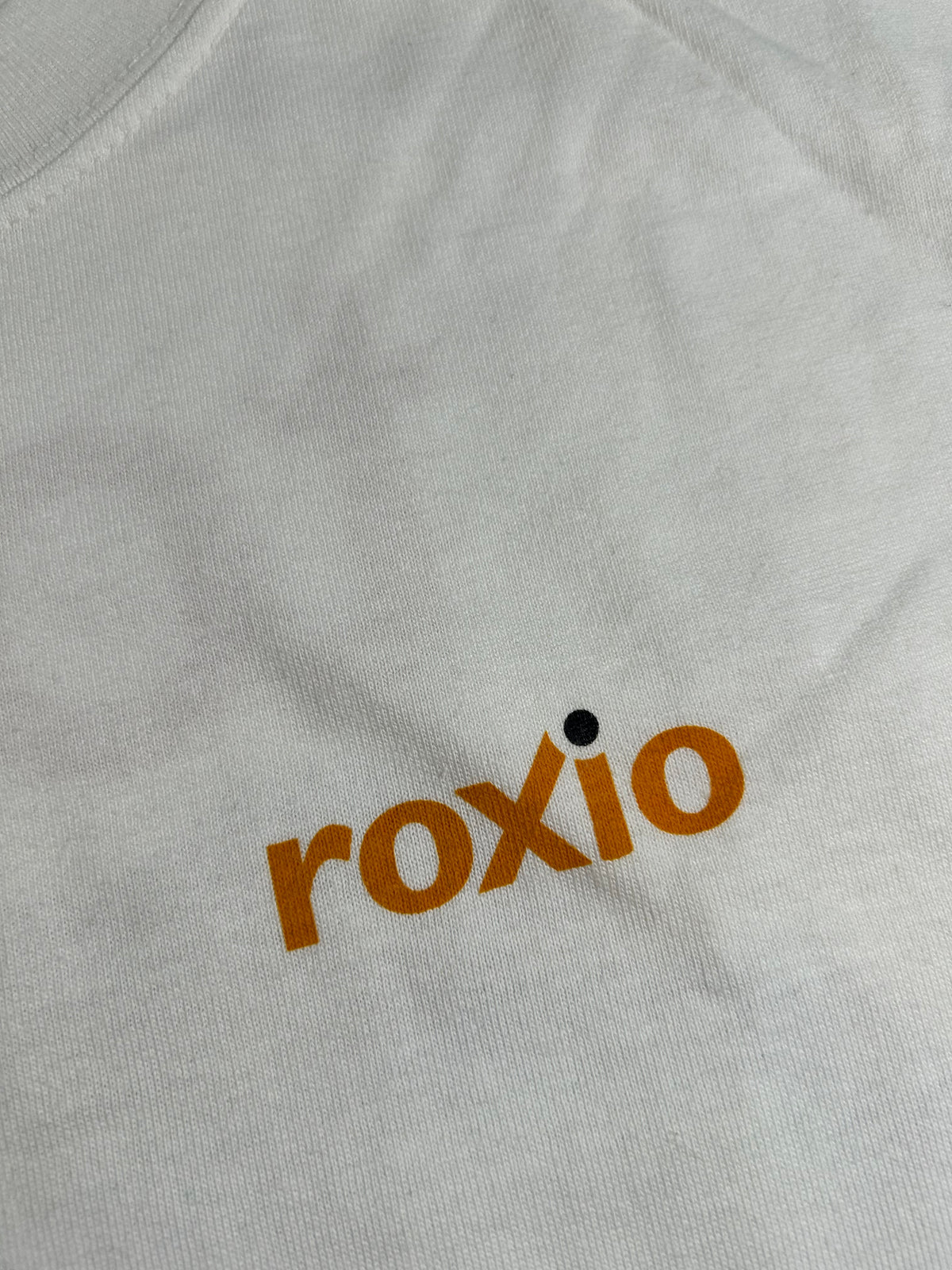 Vintage Toast Roxio CD DVD Technology Macintosh Software T-Shirt Computer Large 22x30.5 Inches Clean