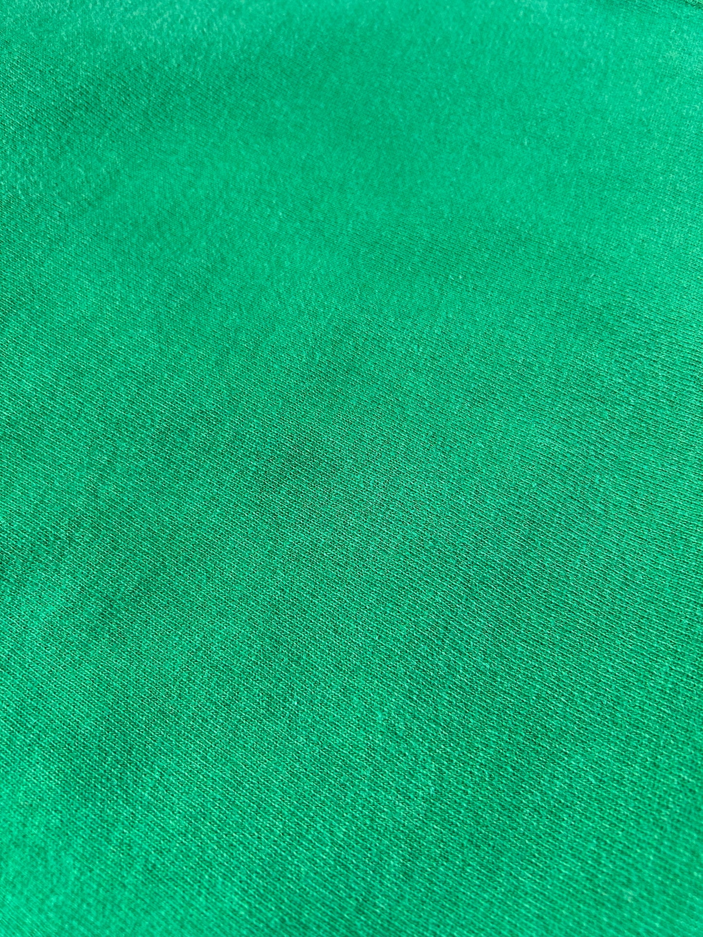 Vintage 80s Champion Reverse Weave Kelley Green Crewneck Sweatshirt 22.25x28.25 Inches Mediumish Fit