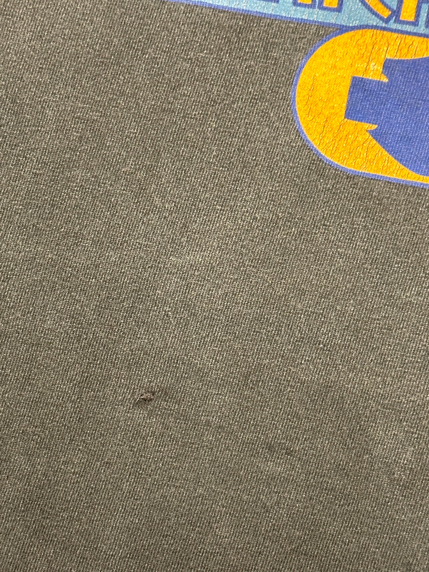 Vintage 90s Harley Davidson Motorcycles Chick’s Albuquerque, N.M. American Legend Tee Large 22.25x28.75 Inches