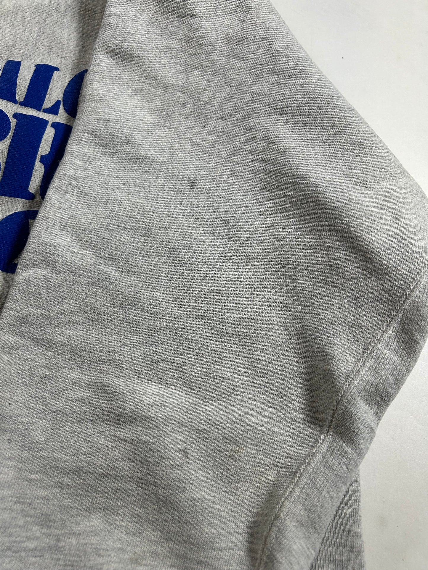 Vintage Buffalo Sabres NHL Champion Reverse Weave Crewneck Sweatshirt 21.75x27.5 Inches Mediumish/Smallish Fit As Is Has Wear