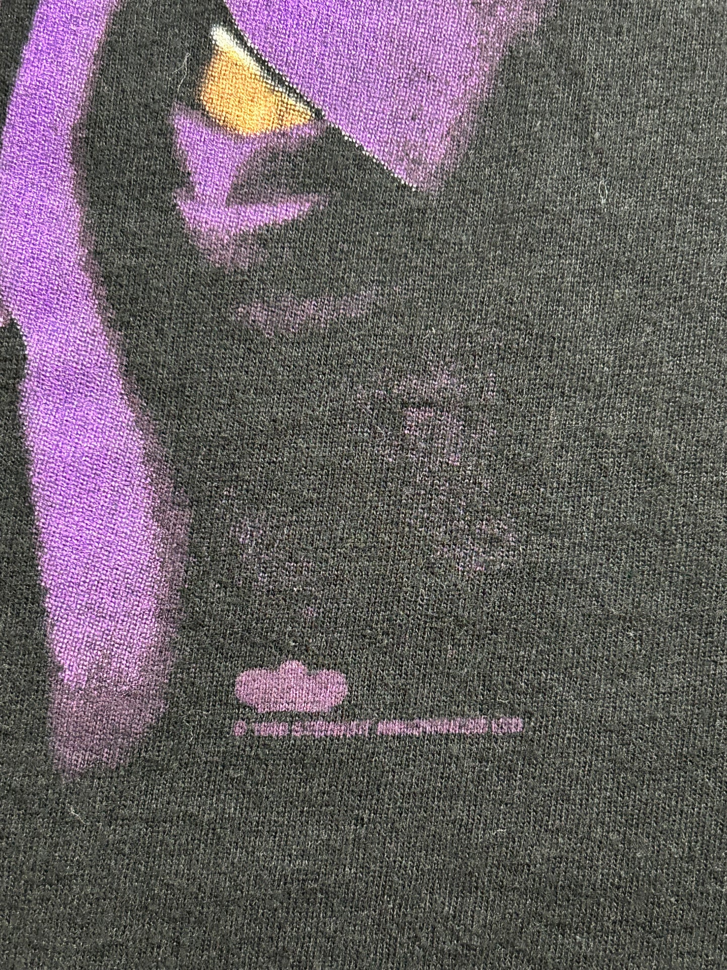Vintage Rod Stewart Live Tour Band T-Shirt 22.25x27.5 Inches Music 1995 90s Tee