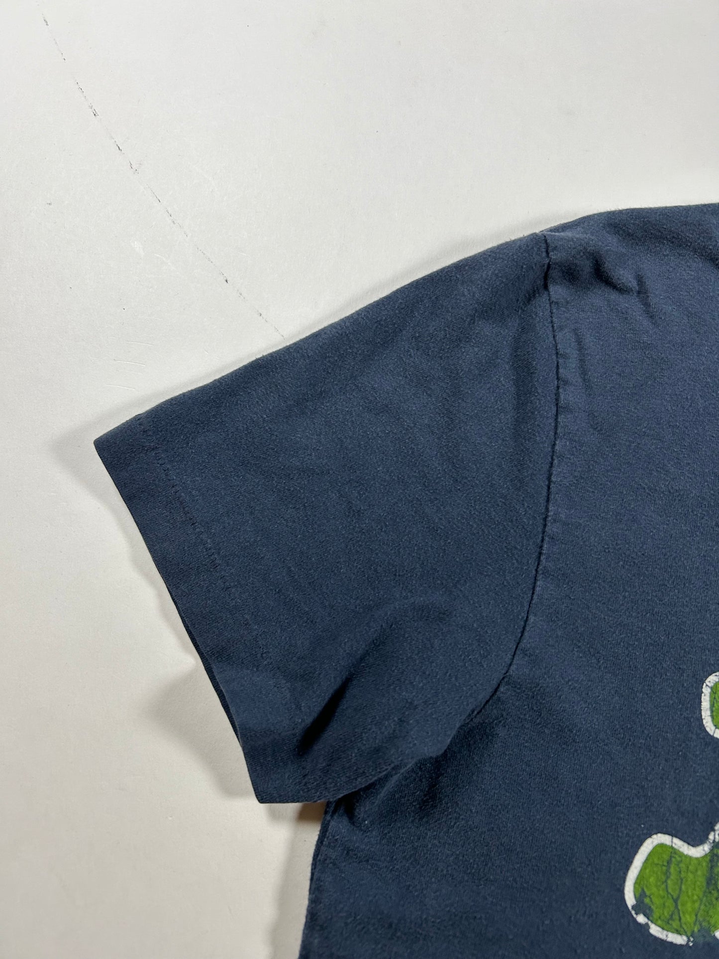 Hollister HCO T-Shirt Blue Short Sleeve Logo Surf Y2K 2000s Medium 19.75x27.75 Inches