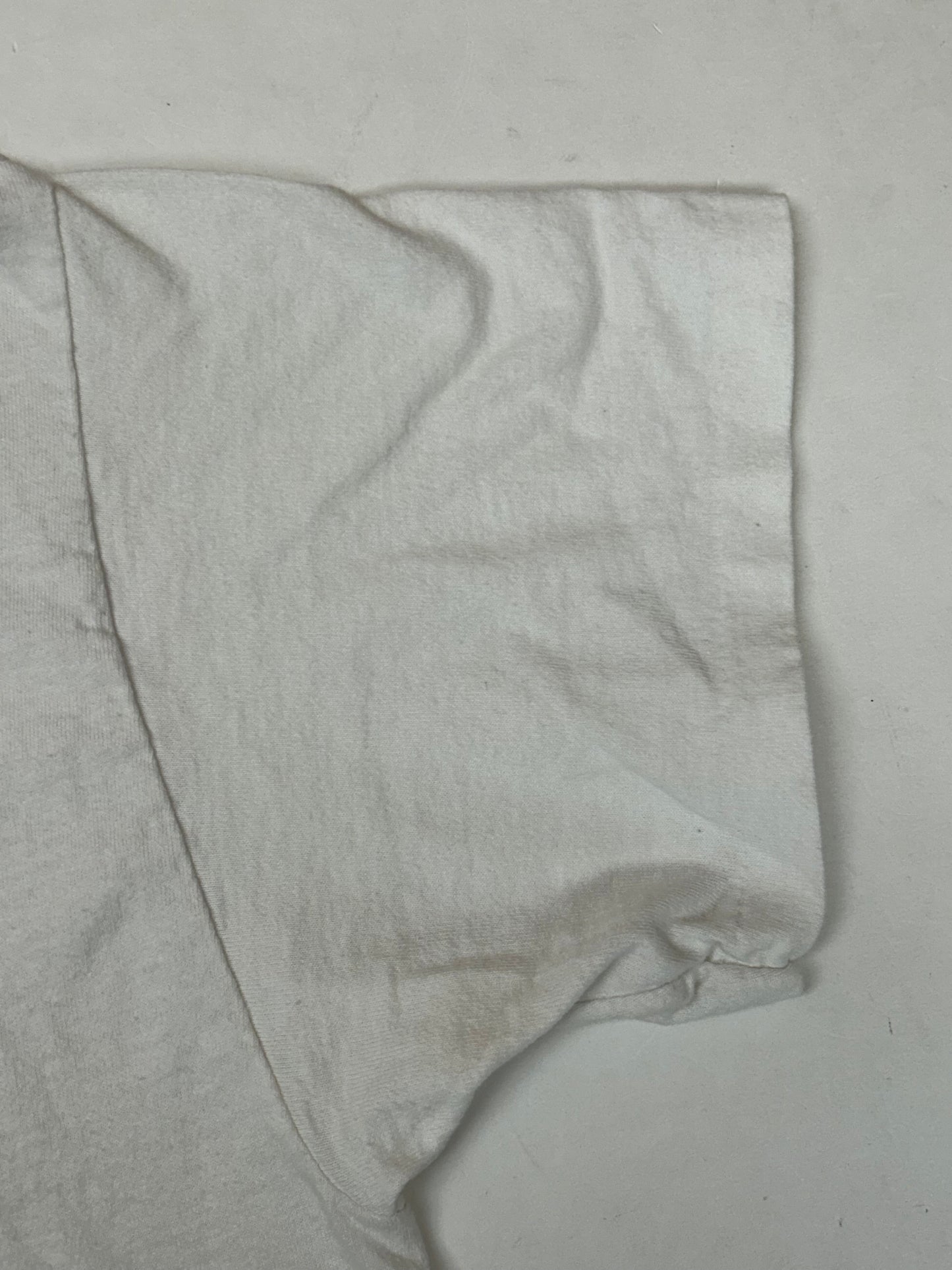 Vintage 1992 Chicago Bulls 2 Time NBA World Champs Caritcure Team Salem Sportswear Graphic Tee Large/Medium Fit 20.75x Inches