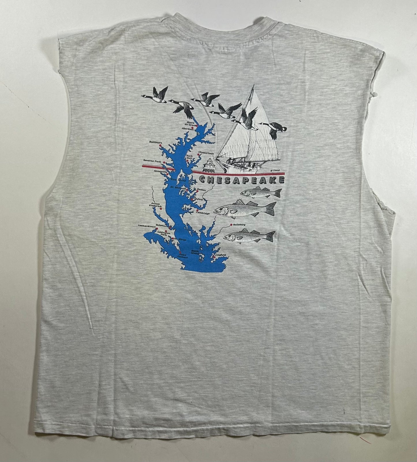 Vintage 90s St. Michael’s Maryland Chesapeake Chopped Sleeveless Tee XL 24x28 Inches As Is