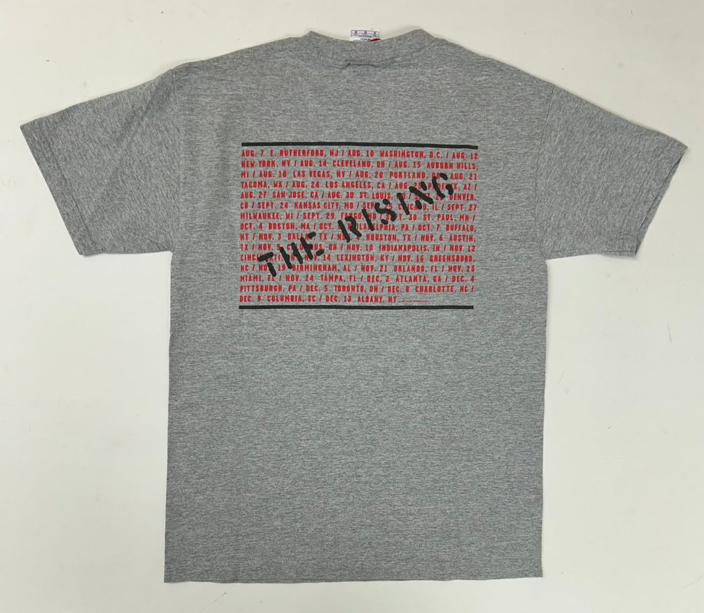 Vintage 2002 Bruce Springsteen & The E Street Band The Rising Tour Music Band Tee Gray Medium 19.25x27.25 Inches