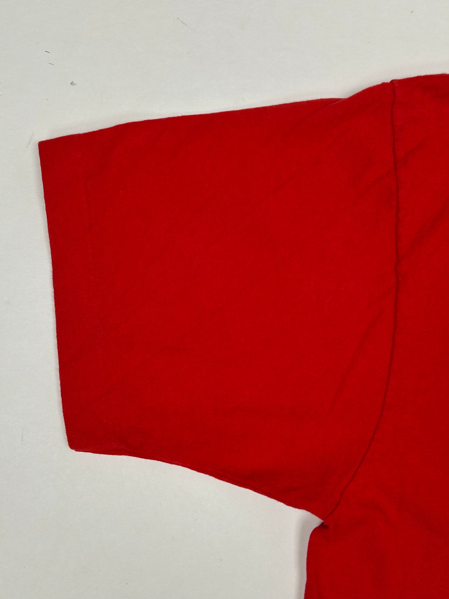 Vintage San Francisco 49ers Joe Montana Salem Sportswear NFL 1990 Graphic Large 21.25x29.75 Inches