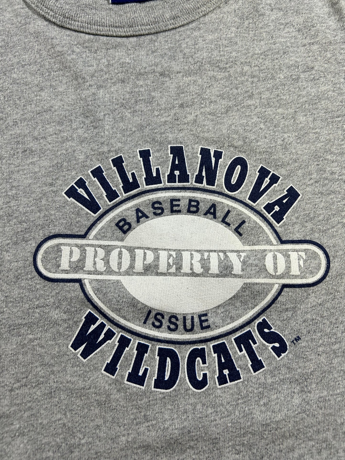 Vintage Champion Villanova Wildcats Baseball Issue Property Of College Tee Large 21.75x27.5 Inches Gray