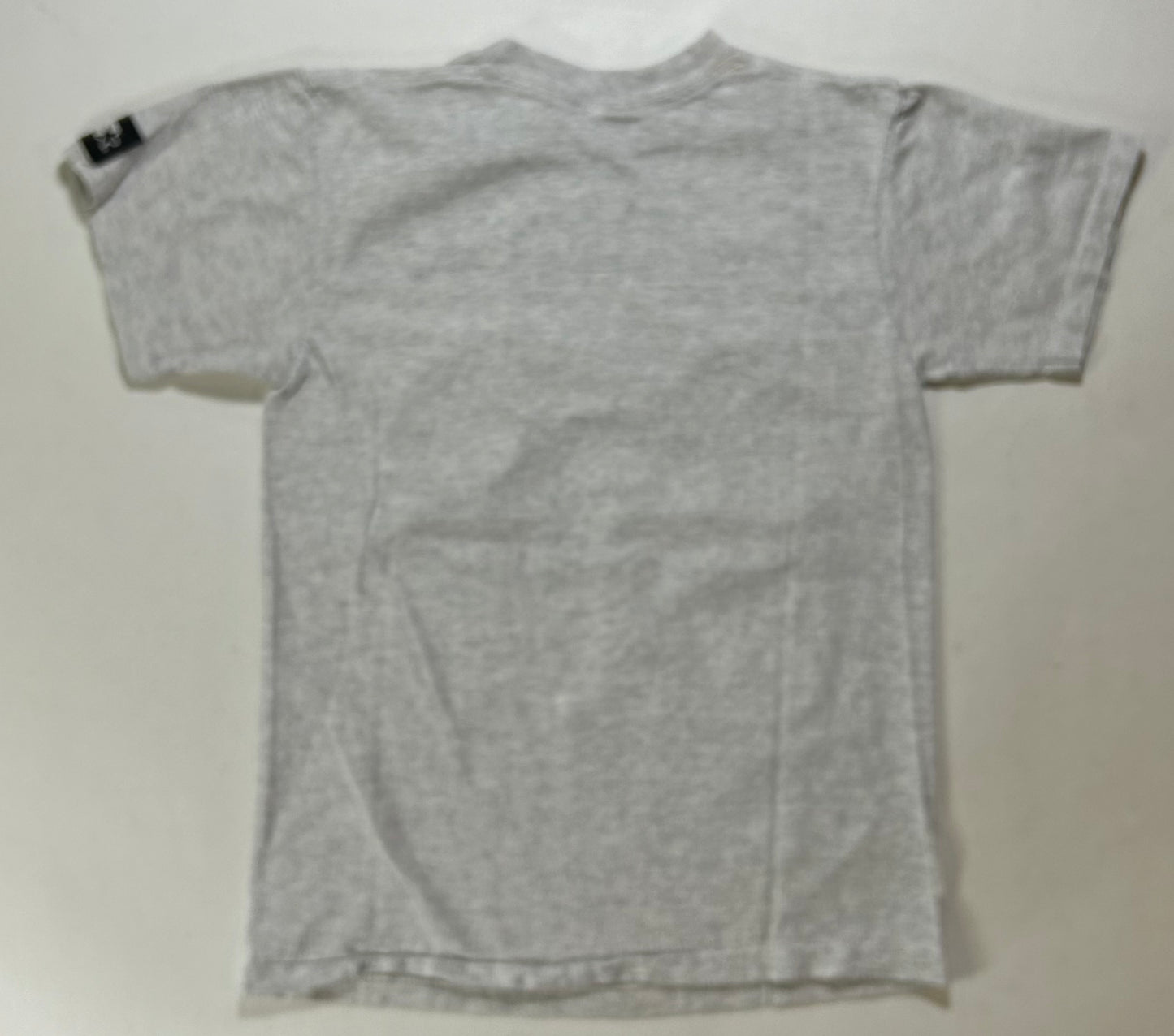 Vintage Starter New York Rangers 1994 NHL Stanley Cup Champions Tee Small 17.25x24.75 Inches Gray