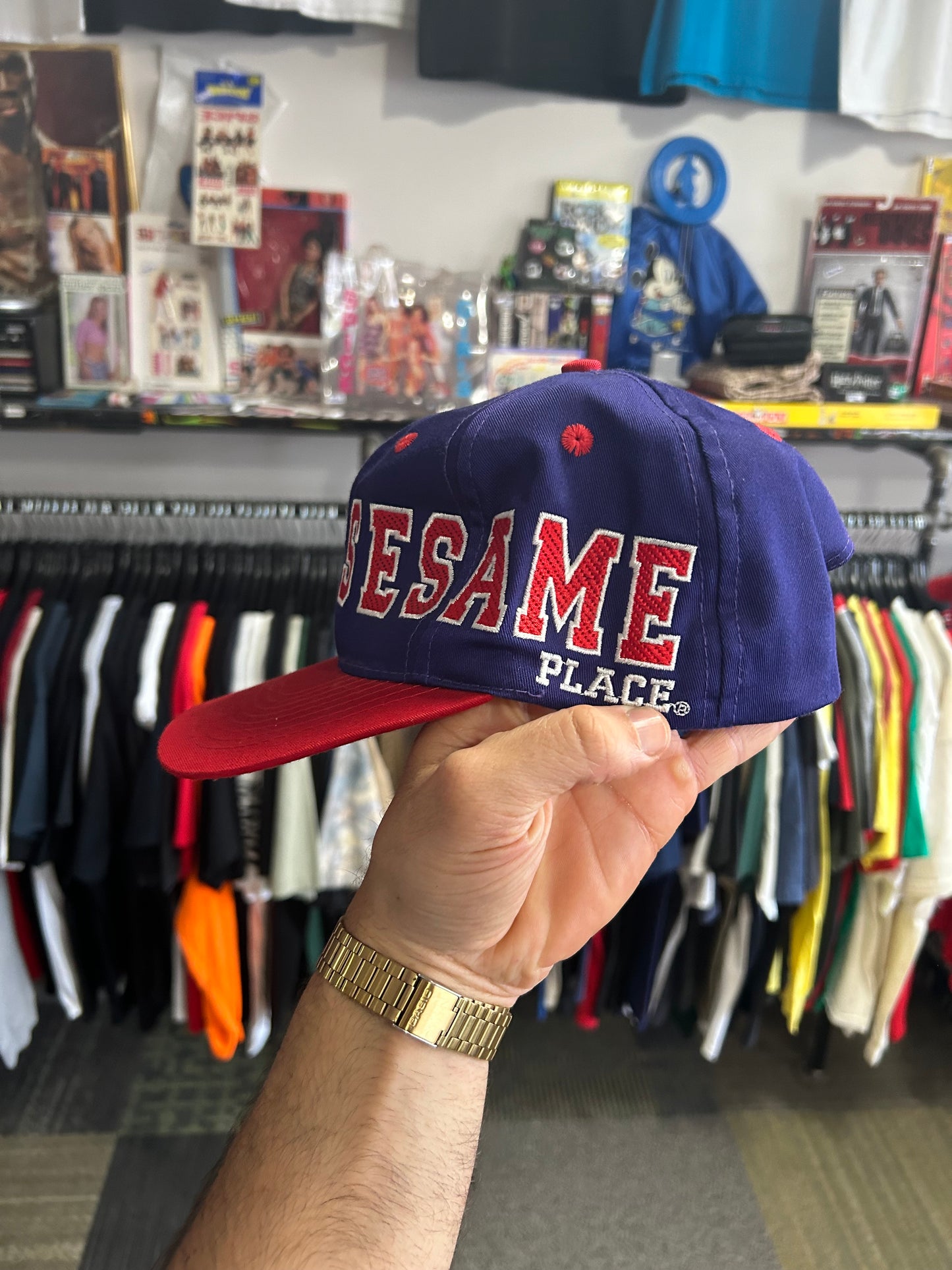 Vintage Sesame Place Sesame Street Snapback Hat 90s Elmo Ernie Clean Embroidery