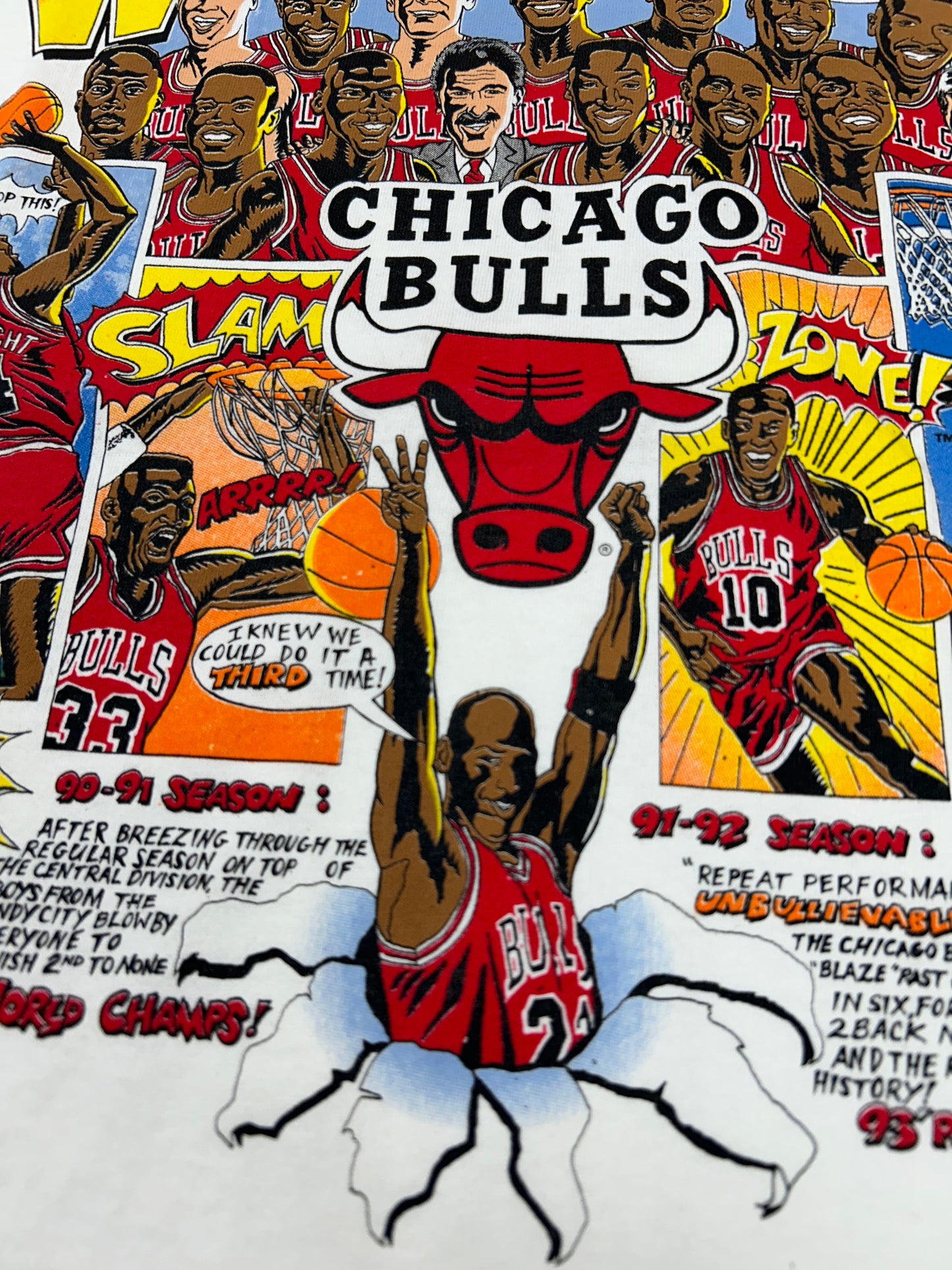 Vintage 1993 Chicago Bulls 3 Time NBA World Champs Caritcure Team Comic Strip Salem Sportswear Tee DS New With Sticker Large