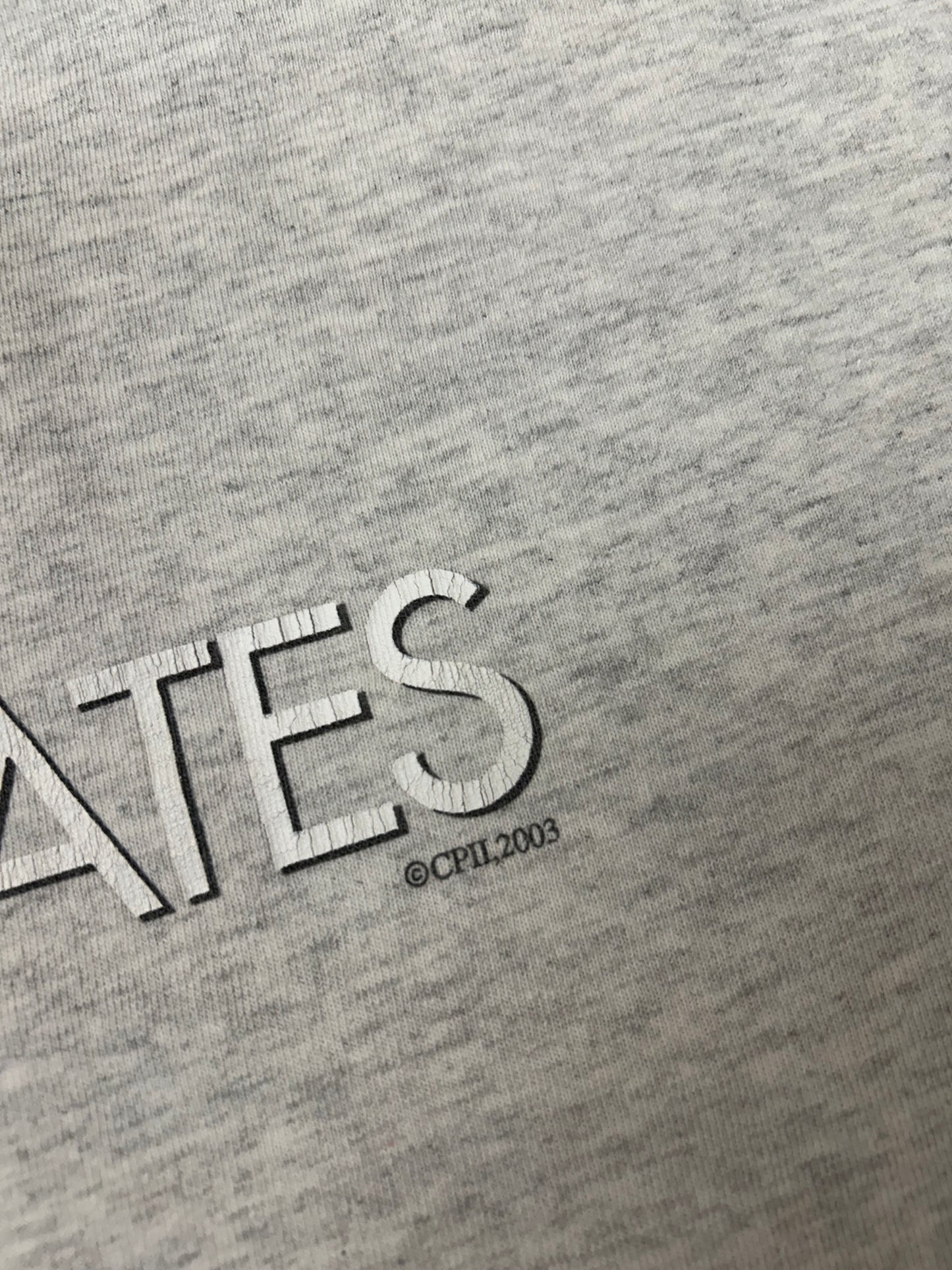 Vintage 2003 50 First Dates Adam Sandler Movie Promo Tee XL 24x30.25 Inches Gray