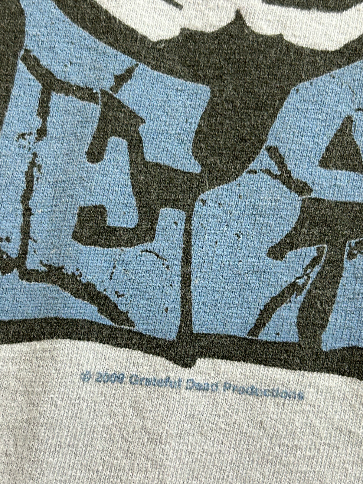 Vintage 2009 Zion Rootswear Grateful Dead Skull Band Music Tee As Is Worn Has Marks Large 21.75x28.5 Inches