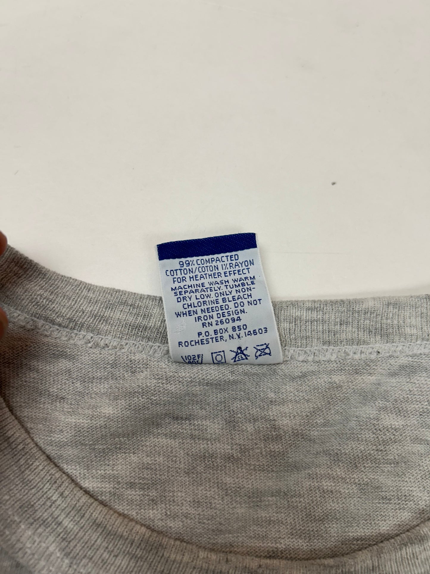 Vintage 90s Canyon Ranch Athletic Dept. Champion Long Sleeve Tee Gray Large 22.5x26.5 Inches