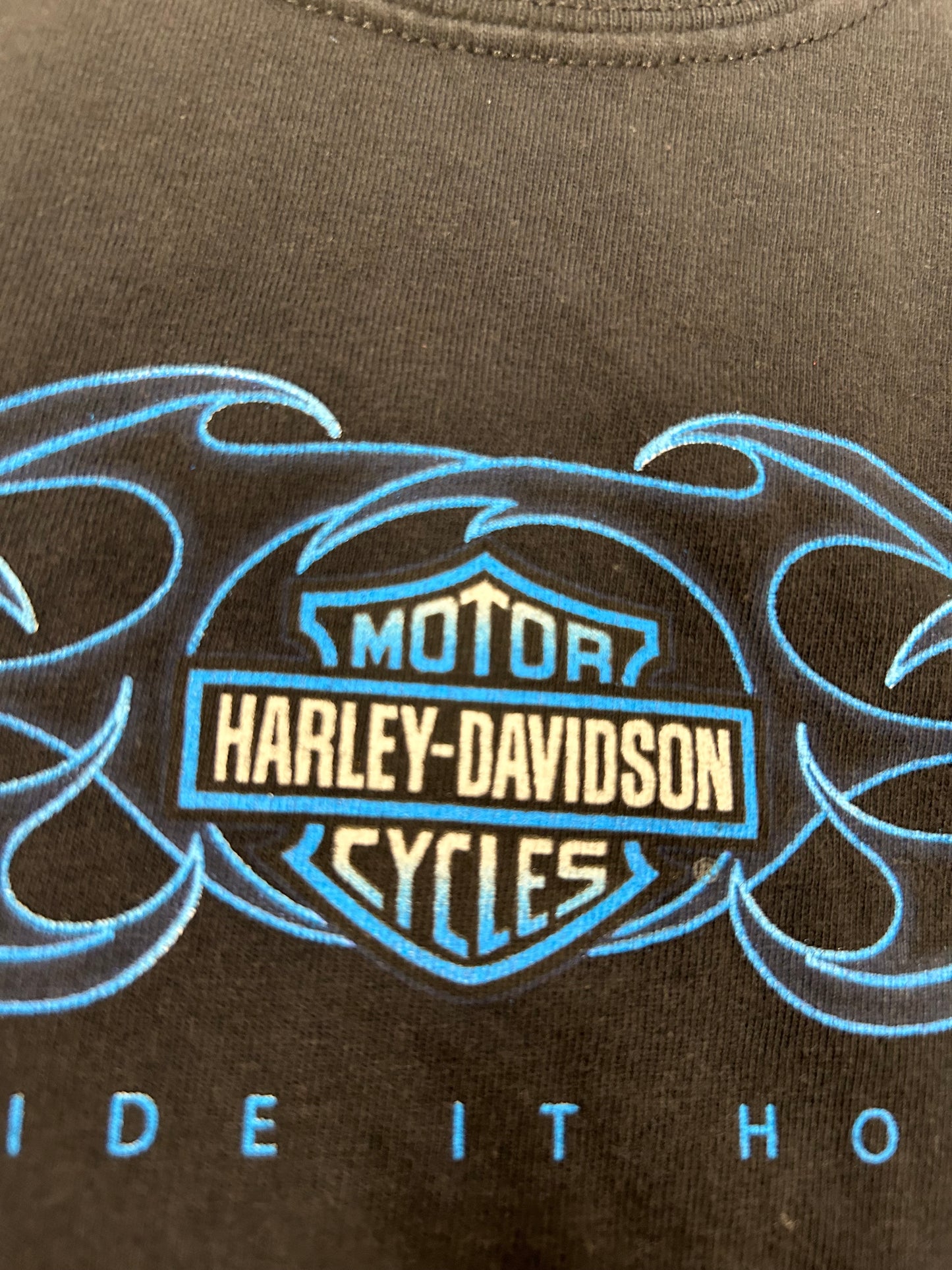 Vintage 2000s Harley Davidson Motorcycles Tilley’s Historic Salisbury, NC Flame Long Sleeve Ride It Hot Tee Small 18x28 Inches Black