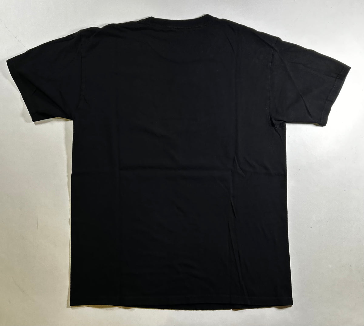 Anti-Hero Skateboards Eagle Logo Graphic Skate Tee Large 21.75x29 Inches